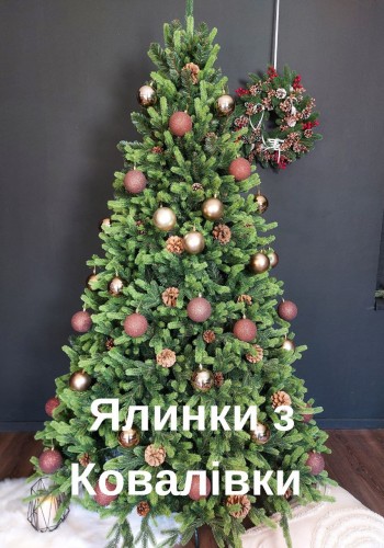  КОМБІНОВНА ЯЛИНКА КАРПАТСЬКА З САЛАТОВИМИ КІНЧИКАМИ 1,80 м