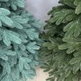 ЯЛИНКА ЛИТА БЕЛЬГІЙСЬКА БЛАКИТНА