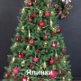 ЯЛИНКА ЛИТА БЕЛЬГІЙСЬКА ЗЕЛЕНА