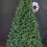 ЯЛИНКА ЛИТА БЕЛЬГІЙСЬКА ЗЕЛЕНА 1,80 м