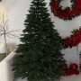 ЯЛИНКА ЛИТА БЕЛЬГІЙСЬКА ЗЕЛЕНА