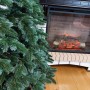 ЯЛИНКА ЛИТА КАНАДСЬКА З БЛАКИТНИМИ КІНЧИКАМИ