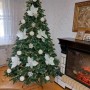 ЯЛИНКА ЛИТА КАНАДСЬКА З БЛАКИТНИМИ КІНЧИКАМИ