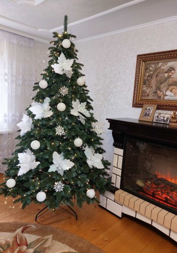 ЯЛИНКА ЛИТА КАНАДСЬКА З БЛАКИТНИМИ КІНЧИКАМИ 2,10 м