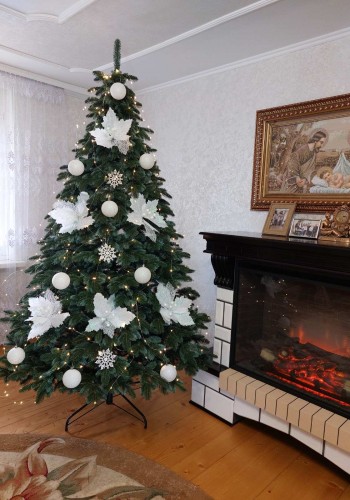 ЯЛИНКА ЛИТА КАНАДСЬКА З БЛАКИТНИМИ КІНЧИКАМИ 2,30 м