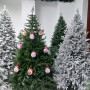 ЯЛИНКА ЛИТА ЕЛІТ ЗЕЛЕНА