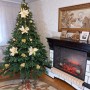 ЯЛИНКА ЛИТА ПРЕСТИЖ ЗЕЛЕНА