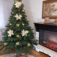 ЯЛИНКА ЛИТА ПРЕСТИЖ ЗЕЛЕНА 2,30