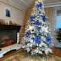 ЯЛИНКА ЛИТА КОВАЛІВСЬКА ЗАСНІЖЕНА