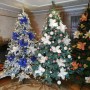 ЯЛИНКА ЛИТА КОВАЛІВСЬКА ЗАСНІЖЕНА