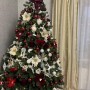 ЯЛИНКА ЛИТА КОВАЛІВСЬКА ВІП ЗЕЛЕНА