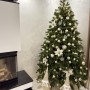 ЯЛИНКА ЛИТА КОВАЛІВСЬКА ВІП ЗЕЛЕНА