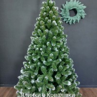 ЯЛИНКА ЛІДІЯ БІЛІ КІНЧИКИ 1,50 м