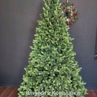  КОМБІНОВНА ЯЛИНКА КАРПАТСЬКА З САЛАТОВИМИ КІНЧИКАМИ