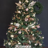 ЯЛИНКА ЛИТА ВІДЕНСЬКА 2,10 м