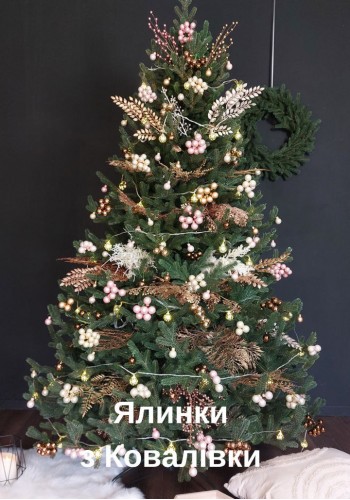 ЯЛИНКА ЛИТА ВІДЕНСЬКА 2,10 м