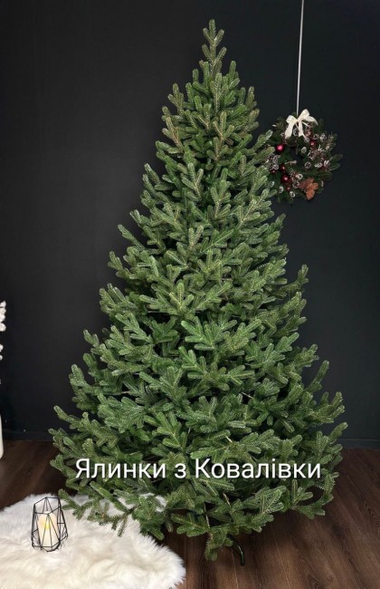 ЯЛИНКА ЛИТА ВІДЕНСЬКА