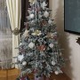 ЯЛИНКА ЛИТА ЕЛІТ ЗАСНІЖЕНА