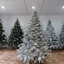 ЯЛИНКА ЛИТА ЕЛІТ ЗАСНІЖЕНА