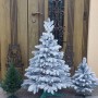 ЯЛИНКА ЛИТА ПРЕСТИЖ ЗАСНІЖЕНА