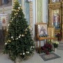 ЯЛИНКА ЛИТА ВІП РОЯЛ ЗЕЛЕНА