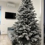 ЯЛИНКА ЛИТА ВІП РОЯЛ ЗАСНІЖЕНА