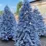 ЯЛИНКА ЛИТА ВІП РОЯЛ ЗАСНІЖЕНА