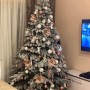 ЯЛИНКА ЛИТА ВІП РОЯЛ ЗАСНІЖЕНА