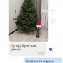 ЯЛИНКА ЛИТА КОВАЛІВСЬКА ВІП ЗЕЛЕНА