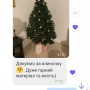 ЯЛИНКА ЛИТА БЕЛЬГІЙСЬКА ЗЕЛЕНА